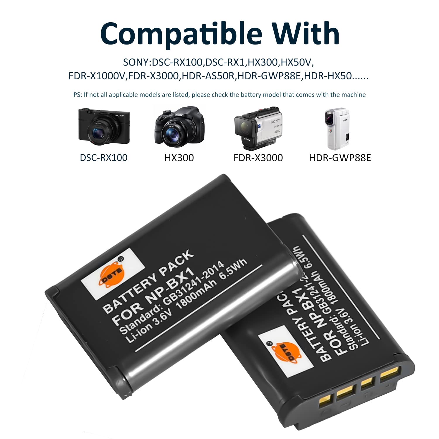 Amazon.com : DSTE 2-Pack NP-BX1 + Rapid Dual Charger Compatible